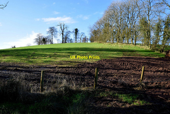 Photo 6"x4" Baronagh Townland Fintona c2022