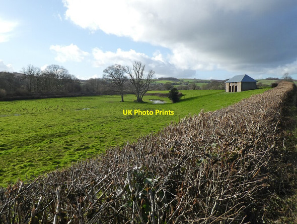 Photo 6"x4" Lower Linhay Bridge Reeve c2022