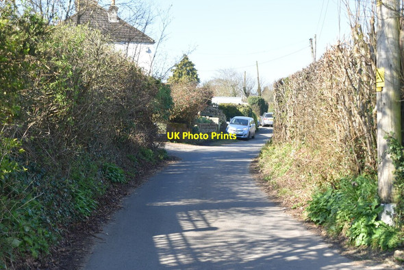 Photo 6"x4" Dixter Lane Northiam c2021