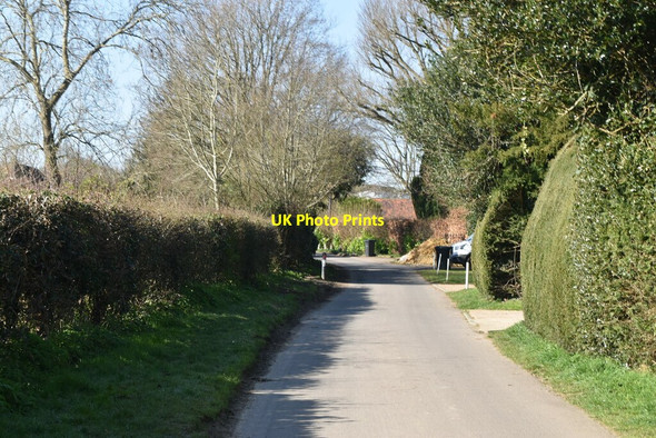 Photo 6"x4" Dixter Lane Northiam c2021