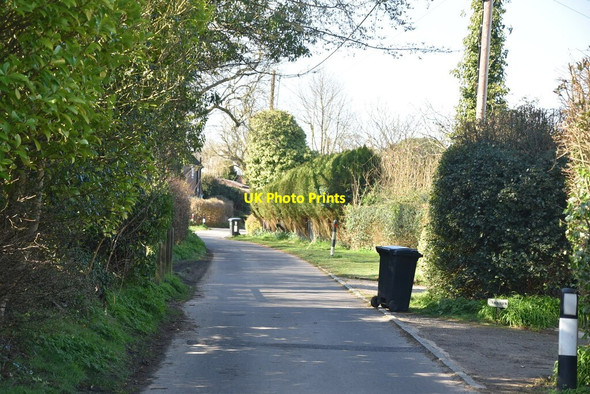 Photo 6"x4" Dixter Lane Northiam c2021 P1