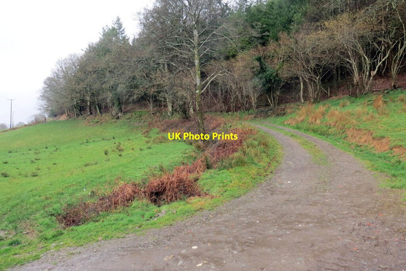 Photo 6"x4" Heol fynedfa Troedyrhiw \/ Troedyrhiw access road Llandovery\/Llanymddyfri c2022