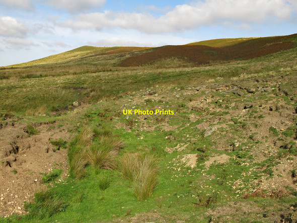 Photo 6"x4" Disused pits southeast of Dry Side Frosterley c2020