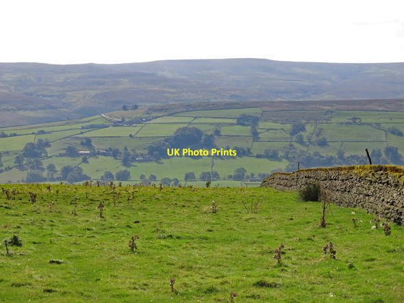 Photo 6"x4" Rough pastures near Pit House Frosterley c2020