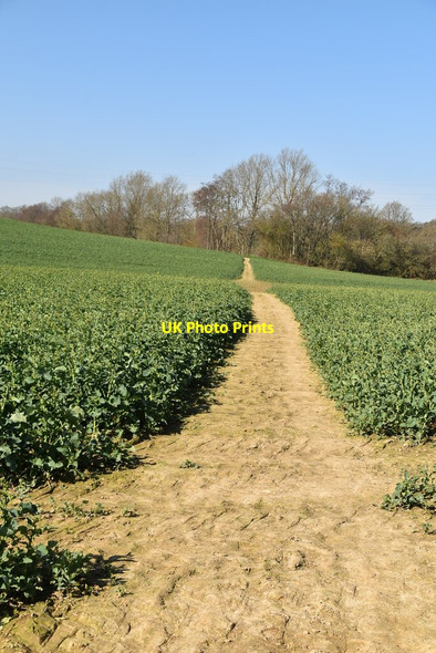 Photo 6"x4" Sussex Border Path Northiam c2021
