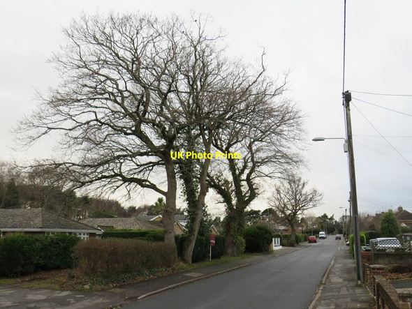 Photo 6"x4" Sandy Lane, Upton, near Poole East Holton c2022