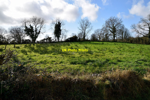 Photo 6"x4" Rushy ground, Tattykeel Dromore\/H3562 c2022