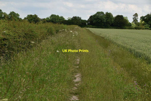 Photo 6"x4" Footpath to Bassingbourn Bassingbourn c2021