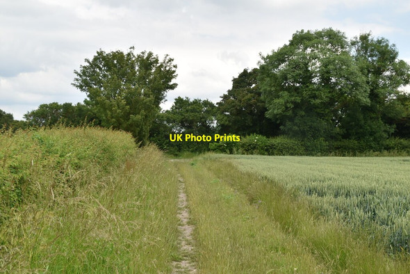 Photo 6"x4" Footpath to Bassingbourn Bassingbourn c2021 P1