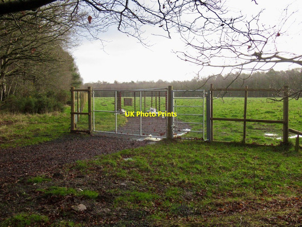 Photo 6"x4" Southern field, Butterdean Gladsmuir\/NT4573 c2022