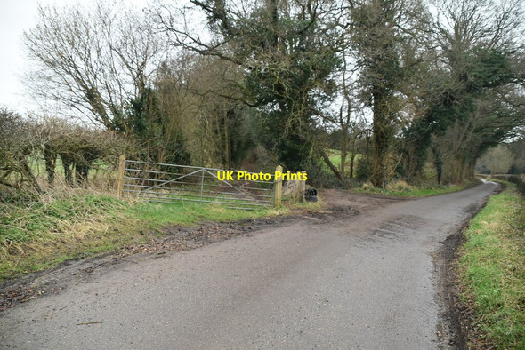 Photo 6"x4" Bridleway off Back Lane Sevenoaks c2022
