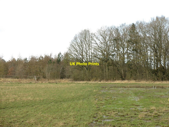 Photo 6"x4" Farmland south of Twist Plantation Brenkley c2022