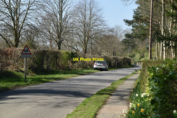 Photo 6"x4" Road out of Ewhurst Green Ewhurst Green\/TQ7924 c2021