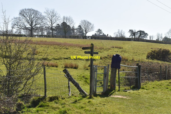 Photo 6"x4" Sussex Border Path Snagshall c2021