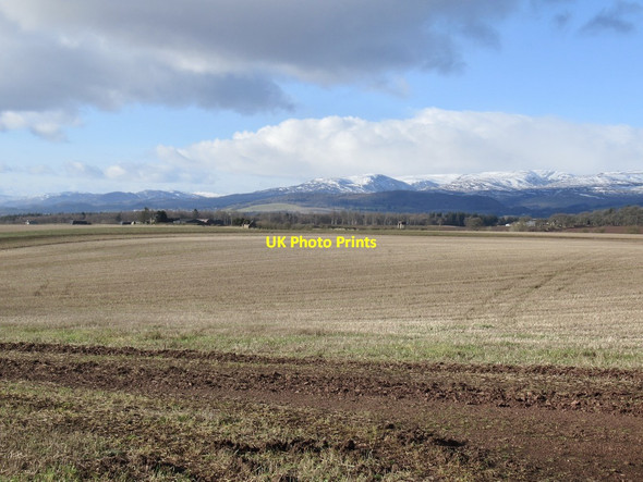 Photo 6"x4" Stubble, Madderty St David's c2022