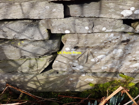 Photo 6"x4" Ordnance Survey Cut Mark Gawthwaite c2022