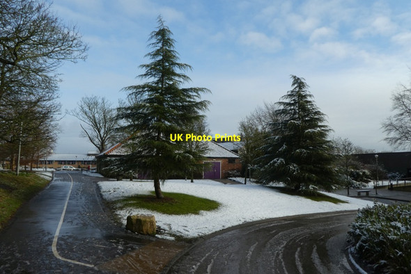 Photo 6"x4" Path near the Drama Barn Heslington c2022