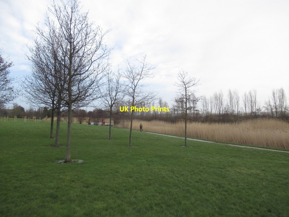 Photo 6"x4" Pond and reed bed, Queen Margaret University Musselburgh c2022