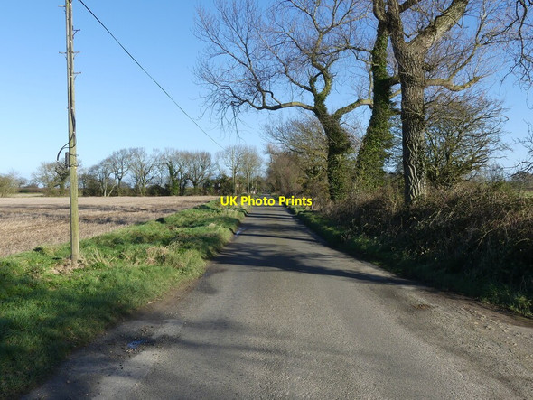 Photo 6"x4" East Ruston Road Lessingham c2022