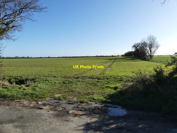 Photo 6"x4" Winter cereal crop Lessingham c2022