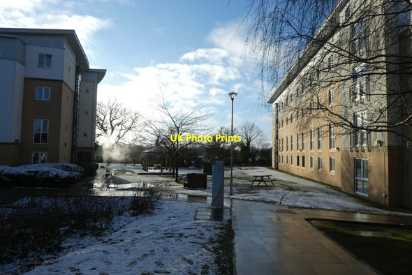 Photo 6"x4" Path in Wentworth College York\/SE5951 c2022