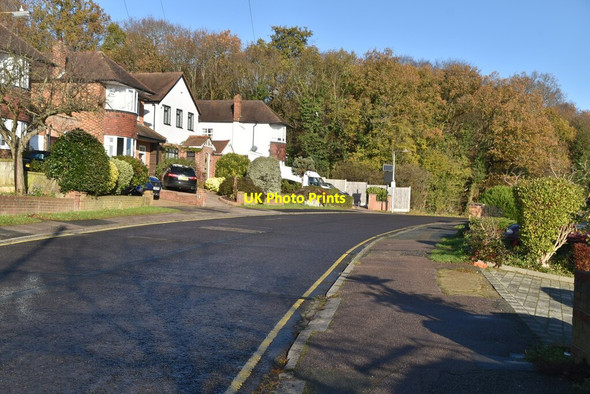 Photo 6"x4" Forest Edge Chigwell c2021 P1