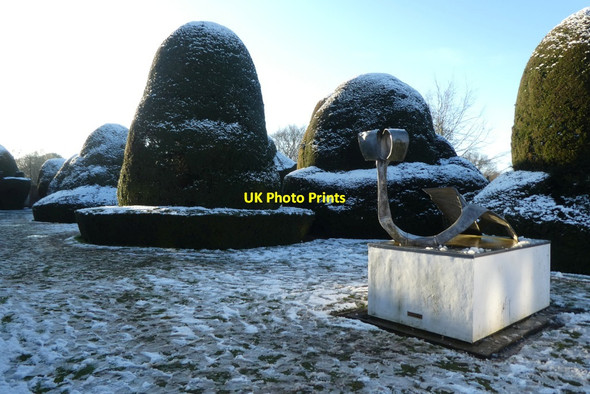 Photo 6"x4" Dryad and topiary Heslington c2022