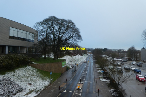 Photo 6"x4" University Road Heslington c2022