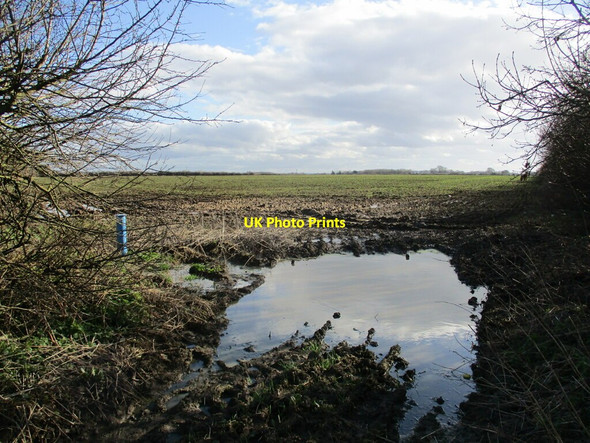 Photo 6"x4" Wet entrance to a field near Greetham Greetham\/SK9214 c2022