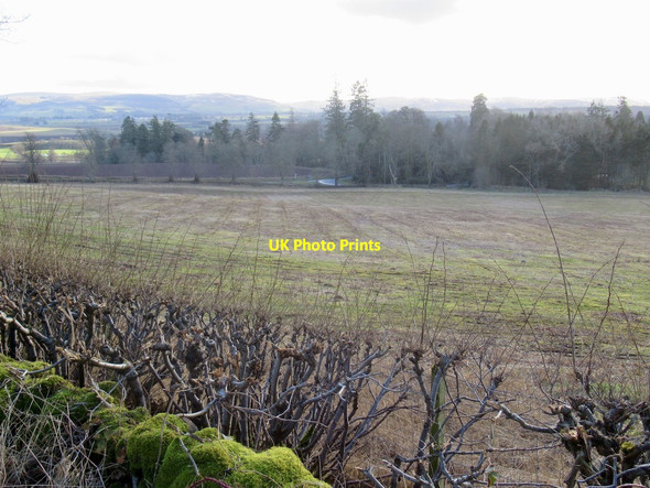 Photo 6"x4" Stubble, Strath Earn St David's c2022