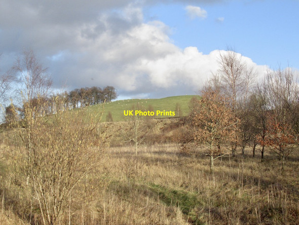 Photo 6"x4" View towards Thorney Hill Auchterarder c2022