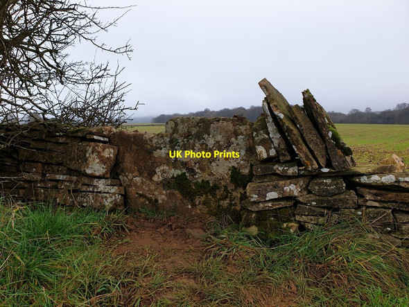 Photo 6"x4" Stone Stile Througham to Througham Slad, Bisley GS1061 Througham c2020