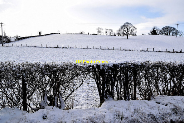 Photo 6"x4" Dergmoney Upper Townland Omagh c2022