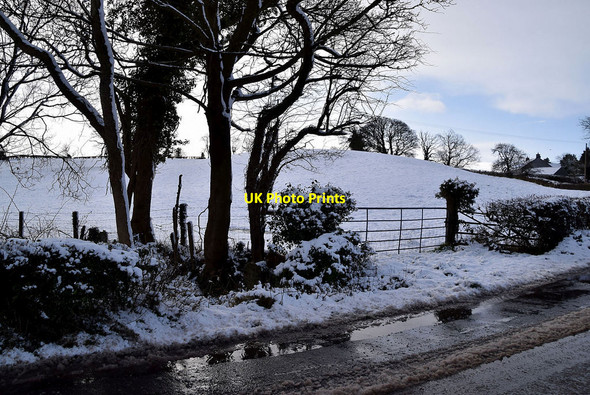 Photo 6"x4" Wintry at Lissan Omagh c2022