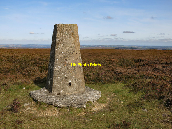 Photo 6"x4" Trig point on Collier Law (2) Crawleyside c2020