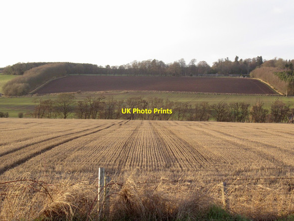 Photo 6"x4" Stubble, Dalreoch Clathy c2022