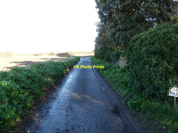 Photo 6"x4" Lane to church car park Lessingham c2022