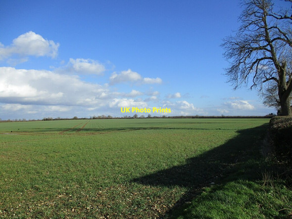Photo 6"x4" Autumn sown crop near Greetham Greetham\/SK9214 c2022