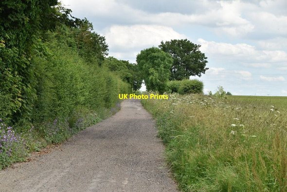 Photo 6"x4" Ashwell Street Royston\/TL3541 c2021 P1