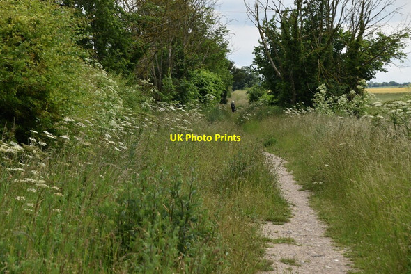 Photo 6"x4" Path by solar farm Royston\/TL3541 c2021