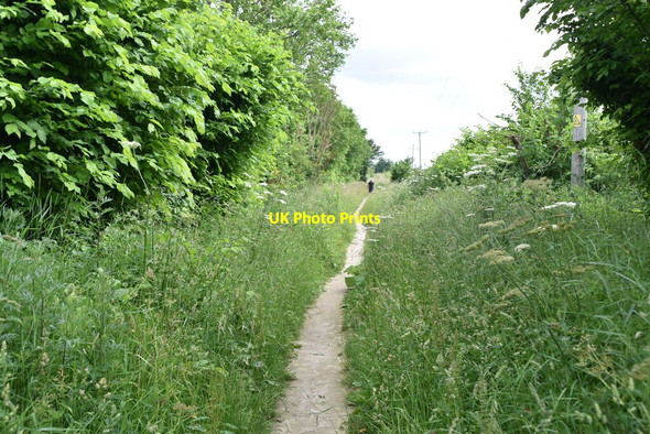 Photo 6"x4" Path by solar farm Royston\/TL3541 c2021