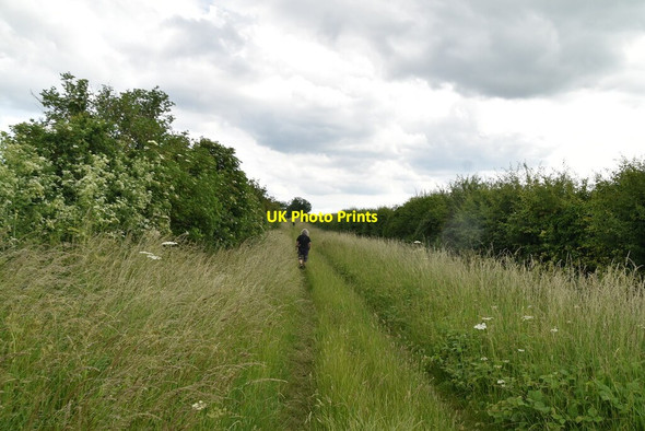 Photo 6"x4" Grassy footpath Royston\/TL3541 c2021