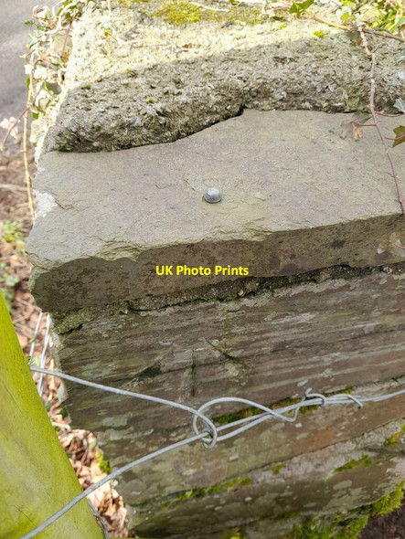 Photo 6"x4" Ordnance Survey Rivet Lowick Green c2022