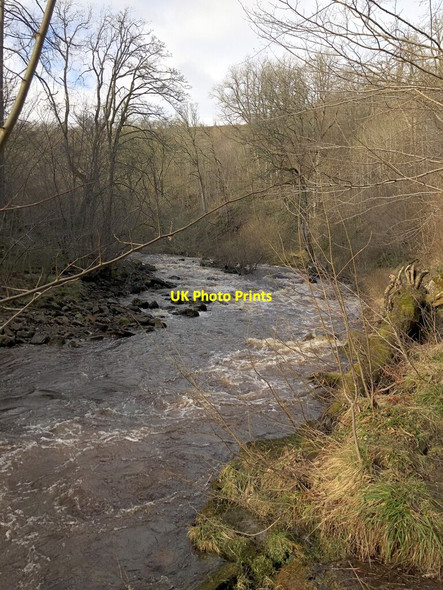 Photo 6"x4" River Greta At Brignall Banks Scargill c2022