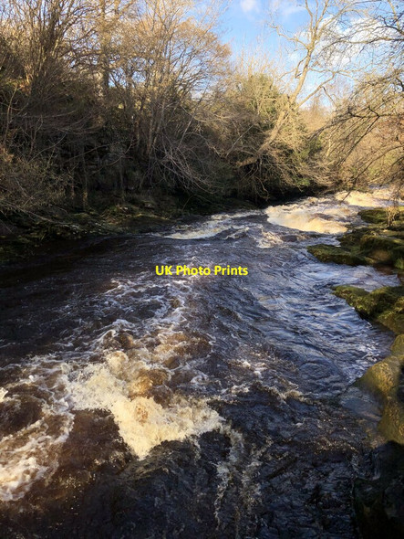 Photo 6"x4" River Great At Hell Cauldron Brignall c2022