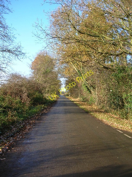 Photo 6"x4" Acaster Lane Acaster Selby c2008