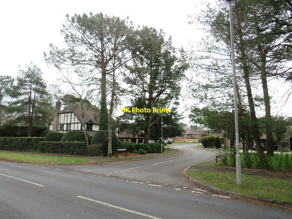 Photo 6"x4" Wickham Drive, Corfe Mullen Hill View\/SY9895 c2022