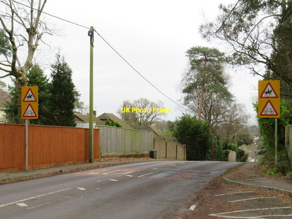 Photo 6"x4" Springdale Road, Corfe Mullen Broadstone\/SZ0095 c2022