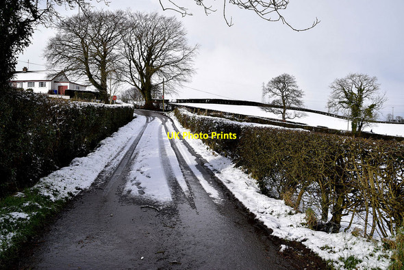 Photo 6"x4" Snow along Shanley Road Omagh c2022