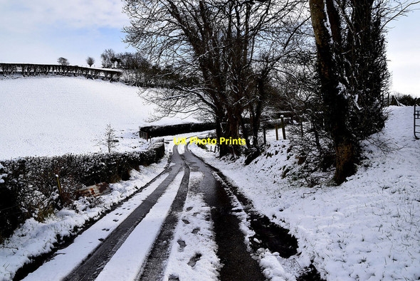 Photo 6"x4" Shanley Road, Beagh Omagh c2022